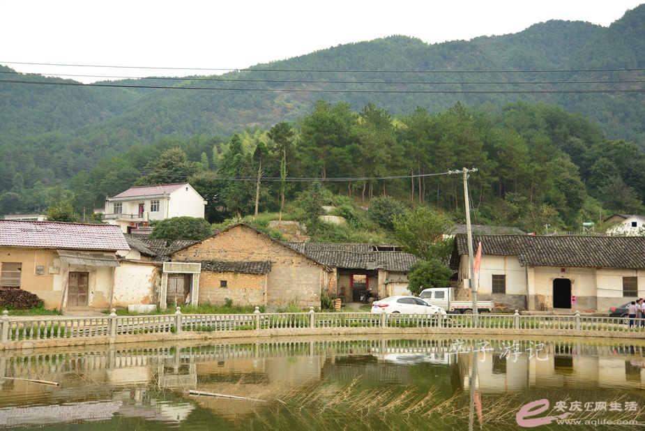 176.jpg