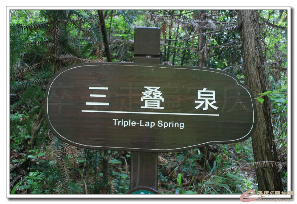 20150501 332.jpg
