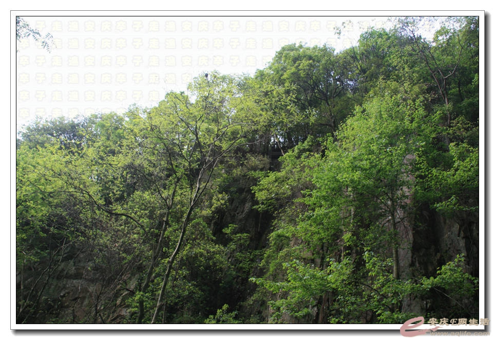 20150501 334.jpg
