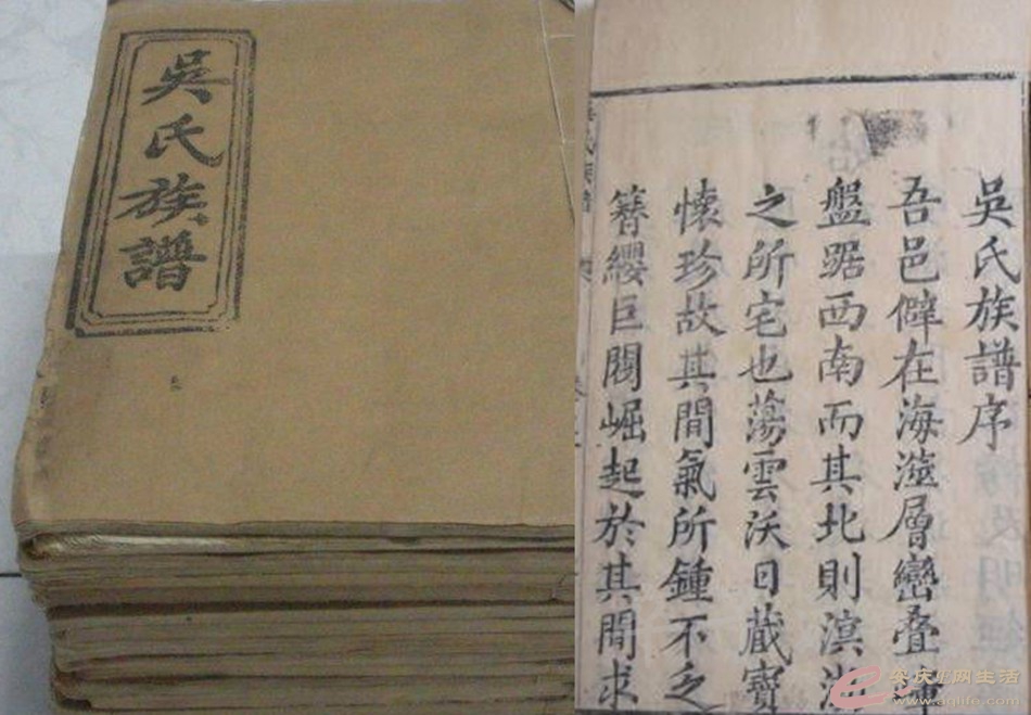 20140628 073.jpg