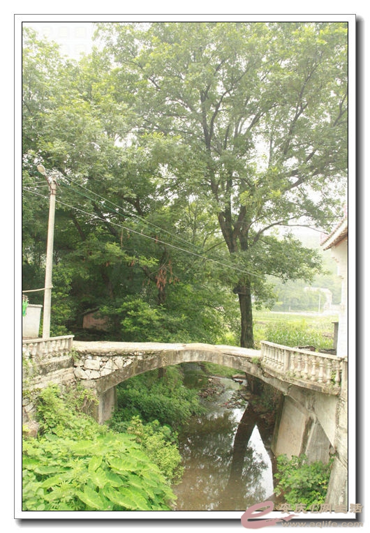20140628 088.jpg