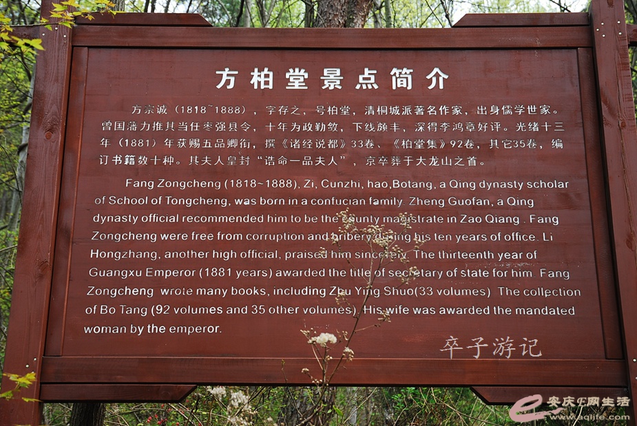 04.jpg