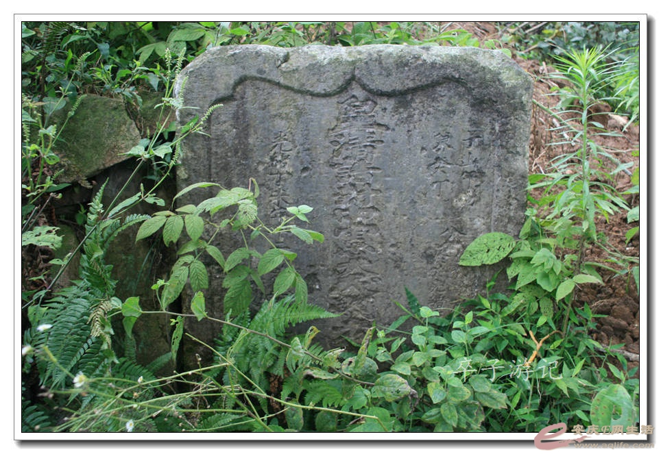 119.jpg