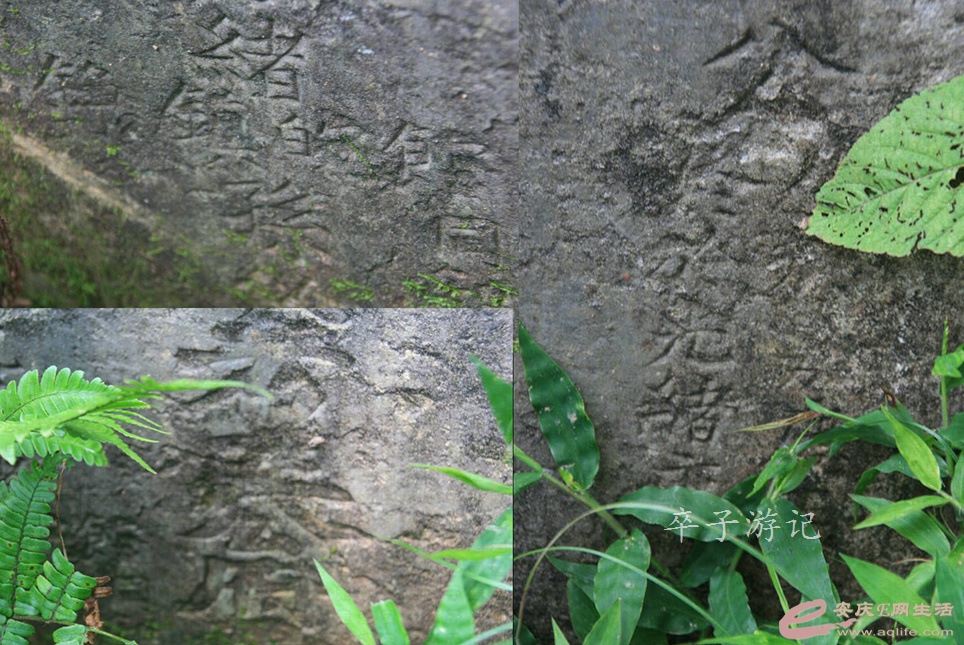 126.jpg