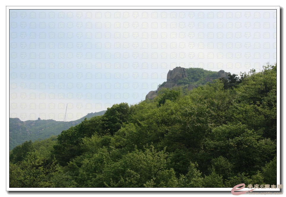 20150425 209.jpg