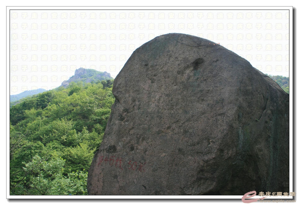 20150425 212.jpg
