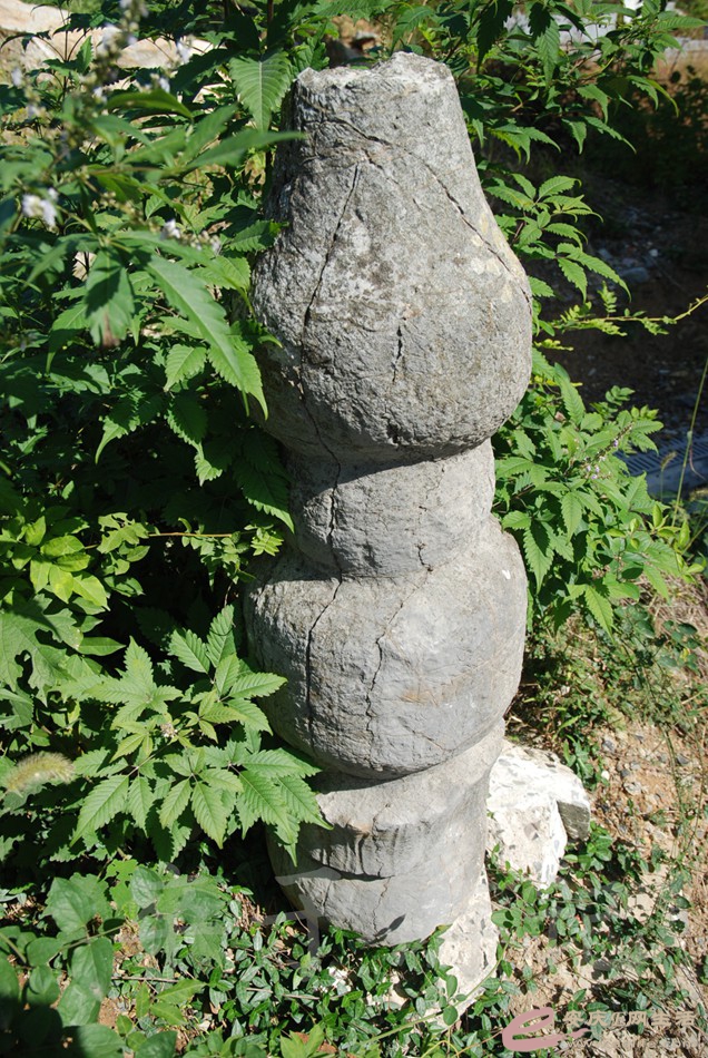 DSC_0018.jpg