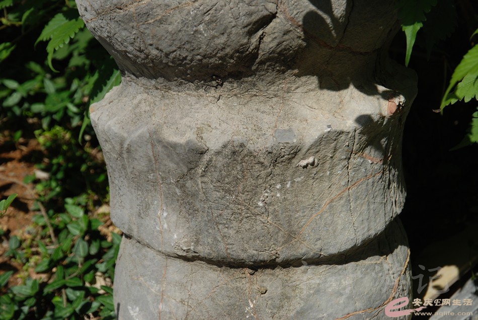 DSC_0020.jpg