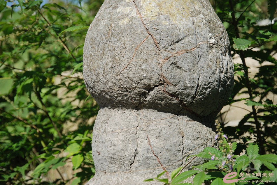 DSC_0021.jpg