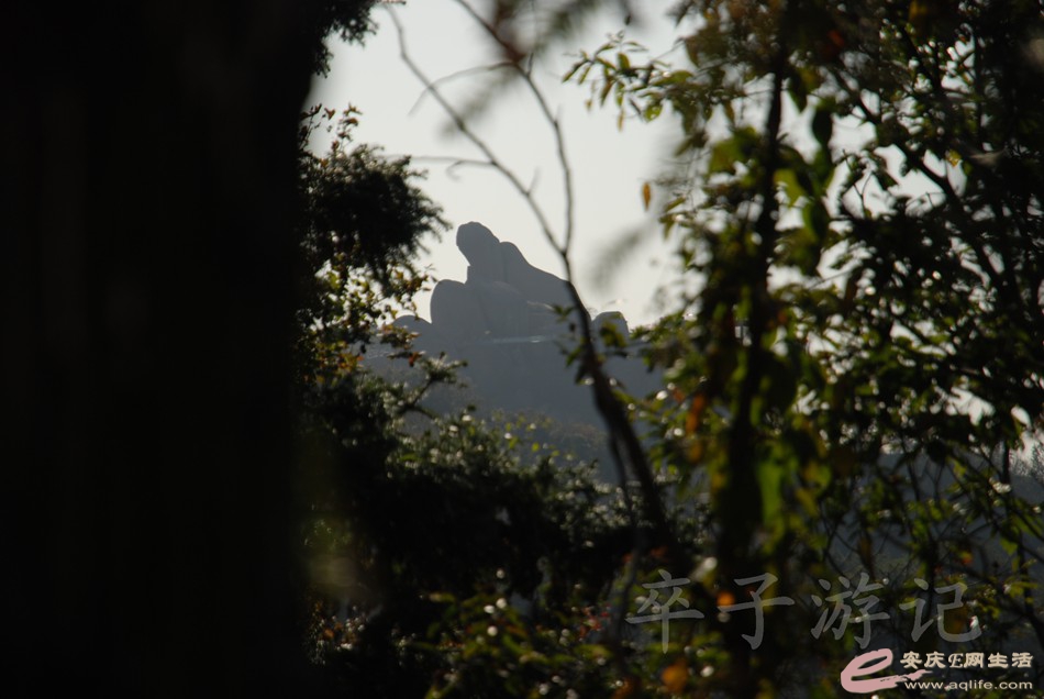 DSC_0157.jpg