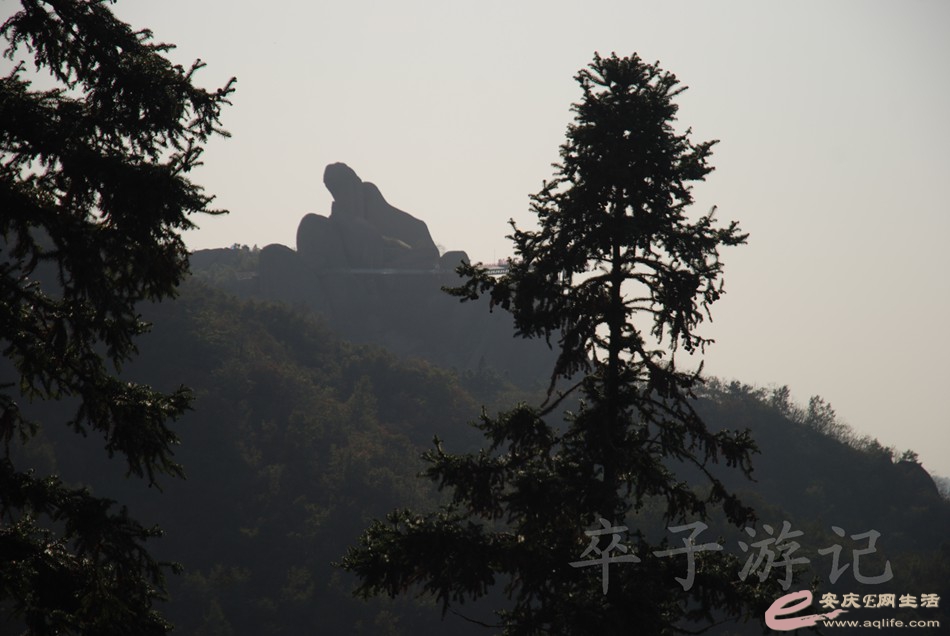 DSC_0170.jpg