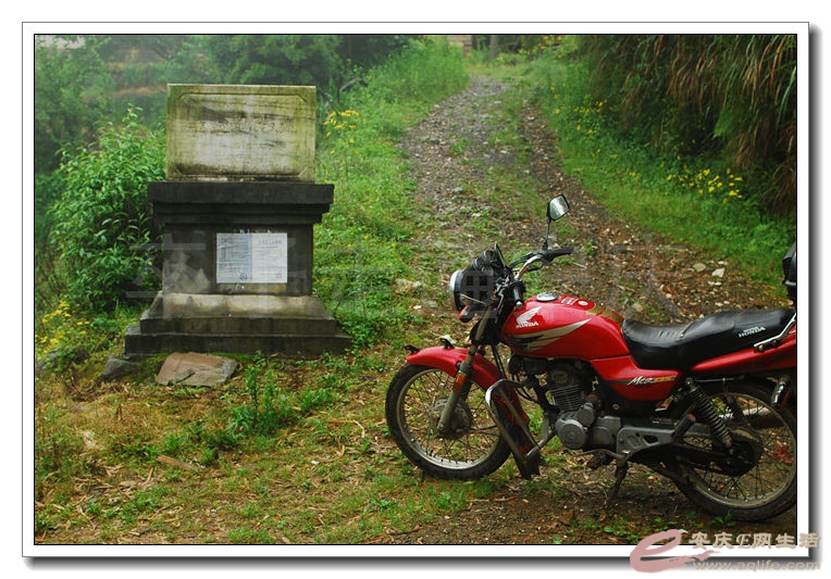 20140524 411 .jpg