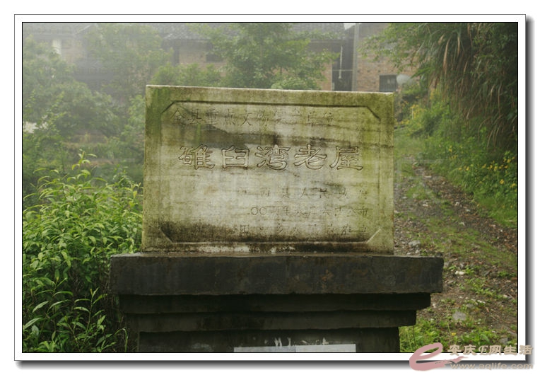 20140524 412.jpg
