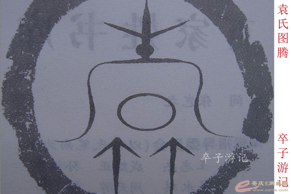 134.jpg