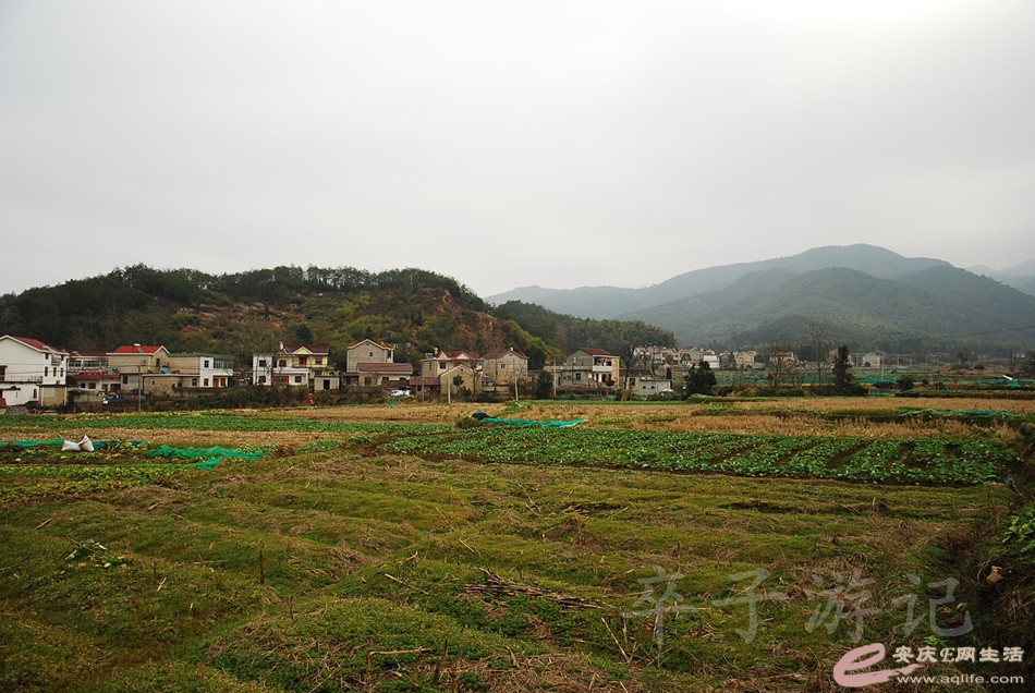 DSC_1426.jpg