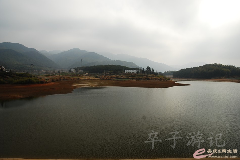 DSC_1429.jpg