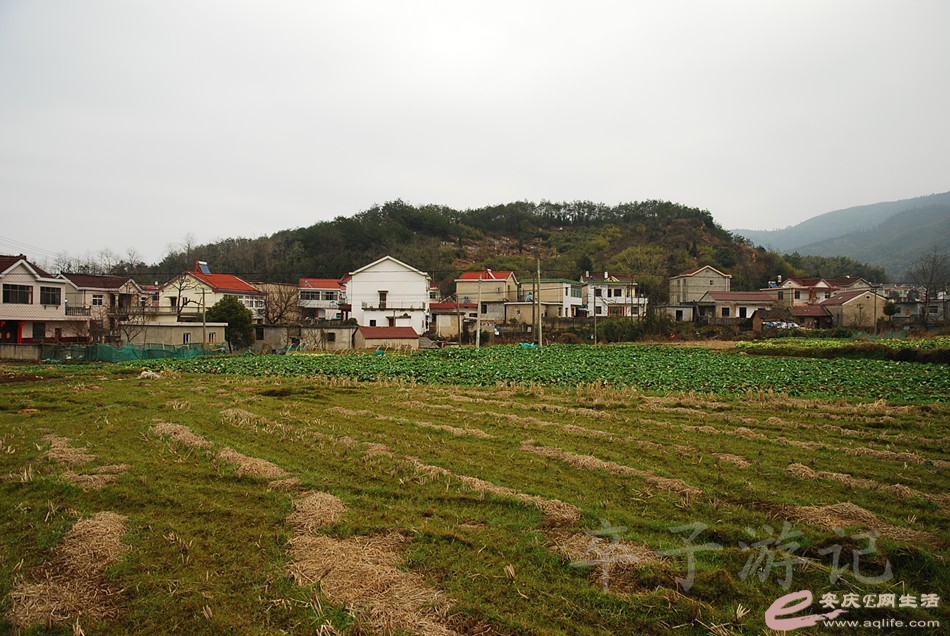 DSC_1455.jpg
