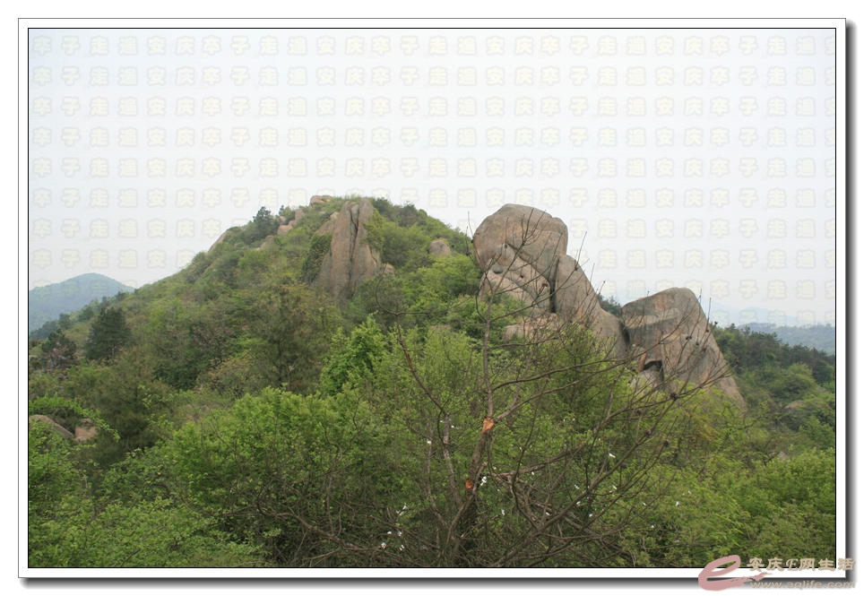 20150418 132.jpg