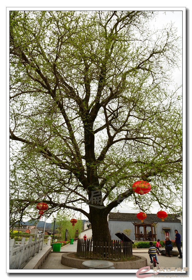 20160402 528.jpg