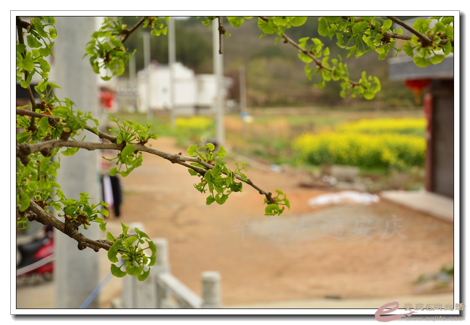 20160402 537.jpg