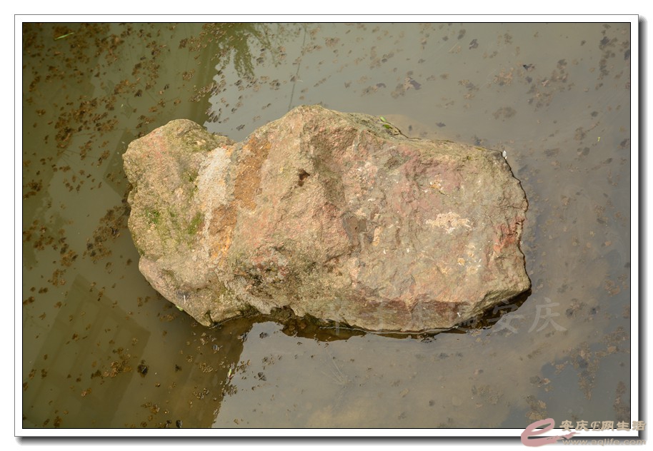 20160402 563.jpg