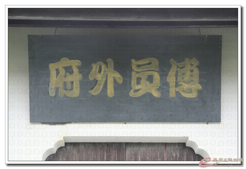 20150725 043.jpg