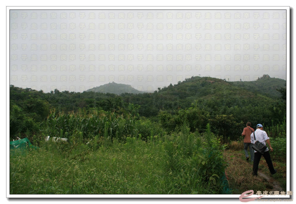 20150725 052.jpg