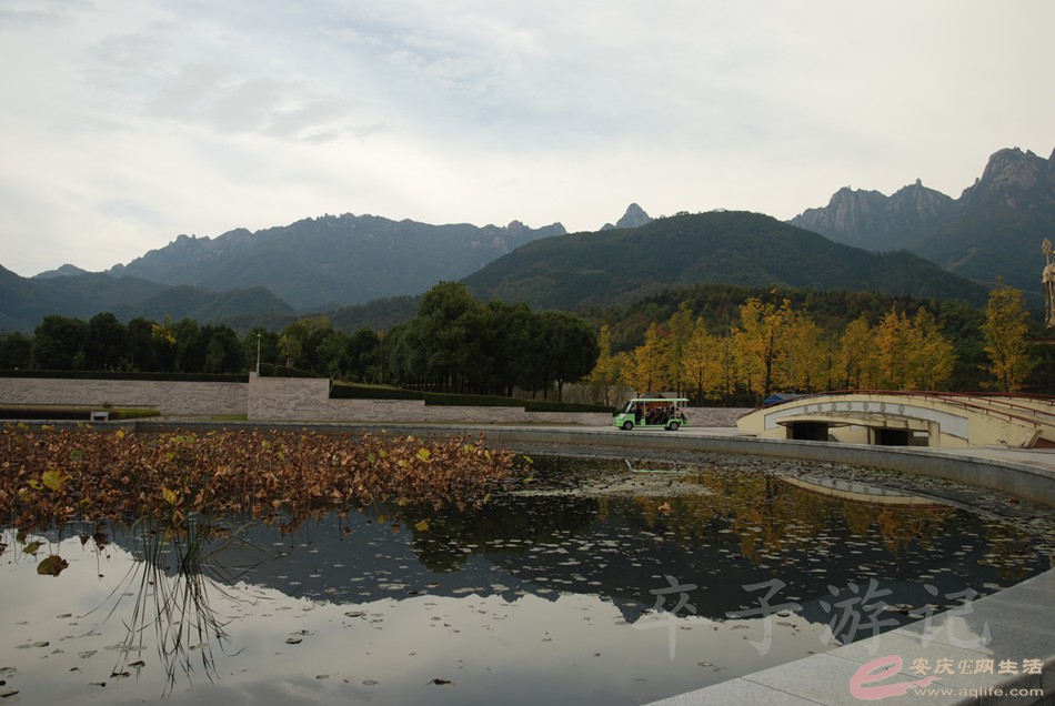 DSC_0819.jpg