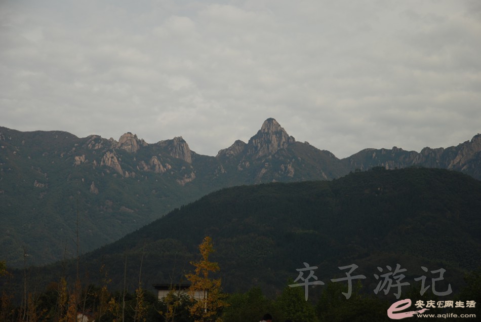 DSC_0820.jpg