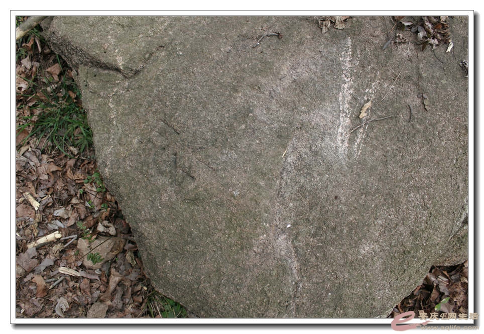 20150218 222.jpg