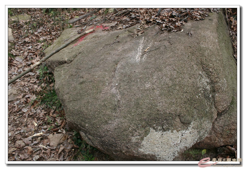 20150218 221.jpg