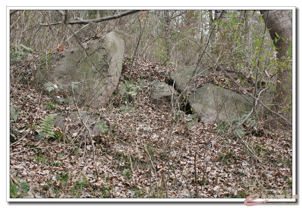 20150218 229.jpg