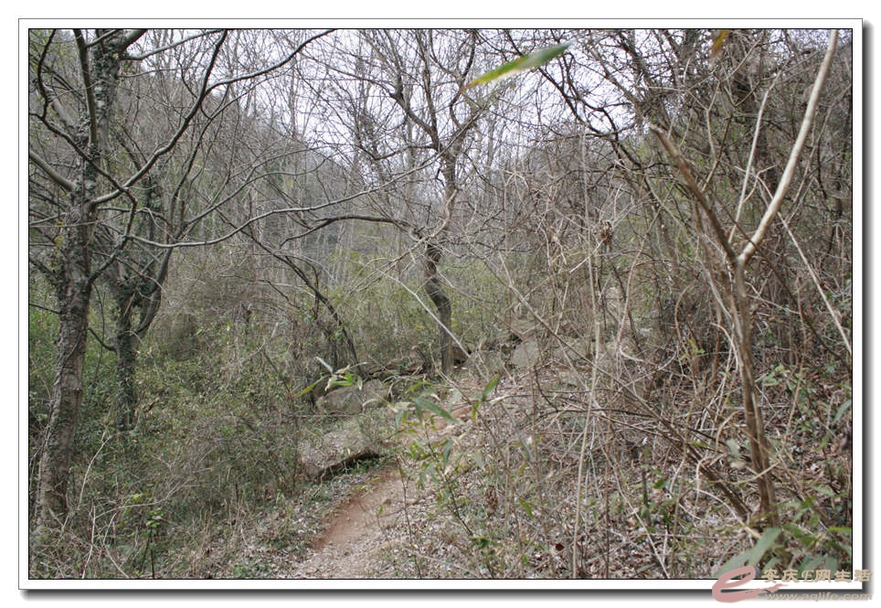 20150218 234.jpg