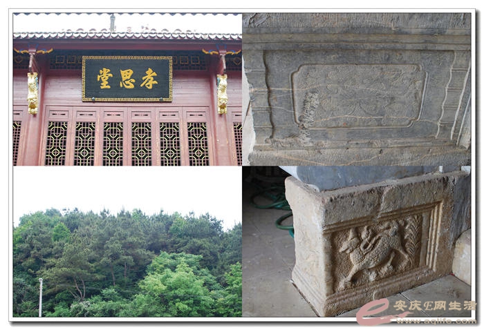 20140501 010.jpg