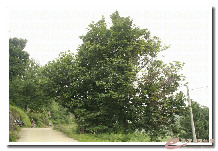 20140628 010.jpg