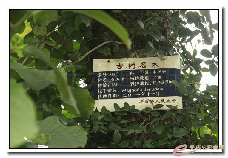 20140628 013.jpg