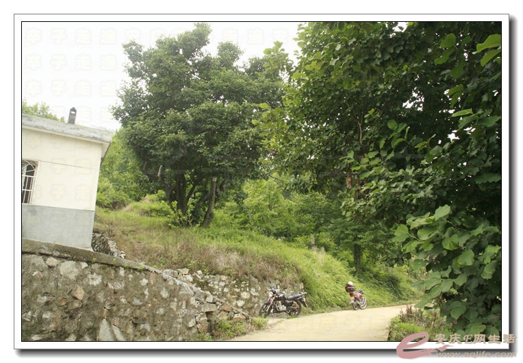 20140628 016.jpg