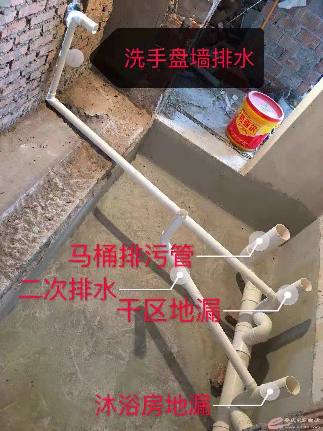 20181007204506.jpg