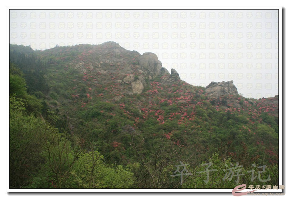 20150419 002.jpg