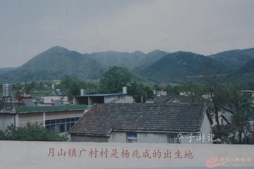 08.jpg
