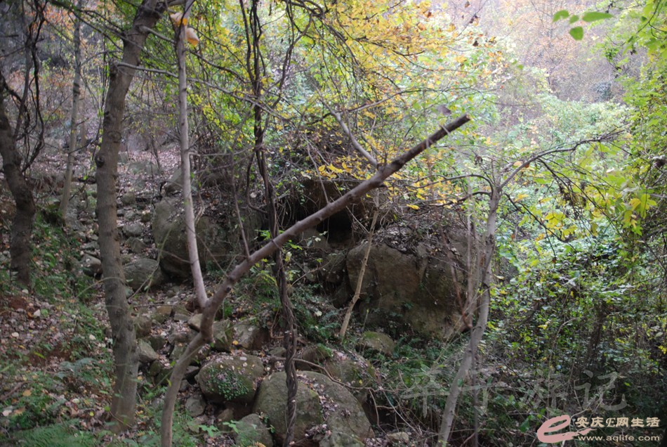 DSC_1248.jpg