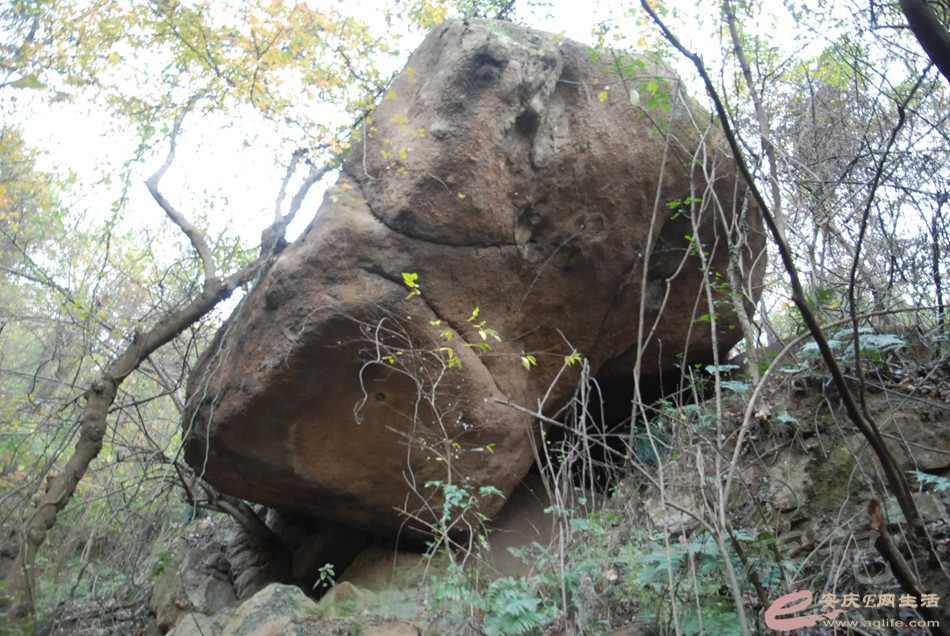 DSC_1252.jpg