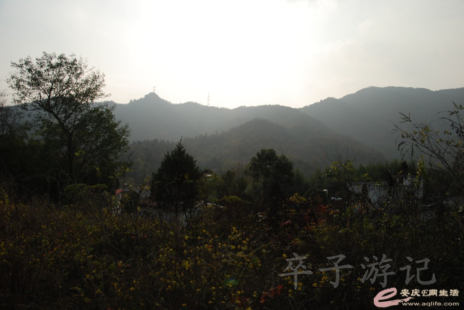 DSC_1226.jpg