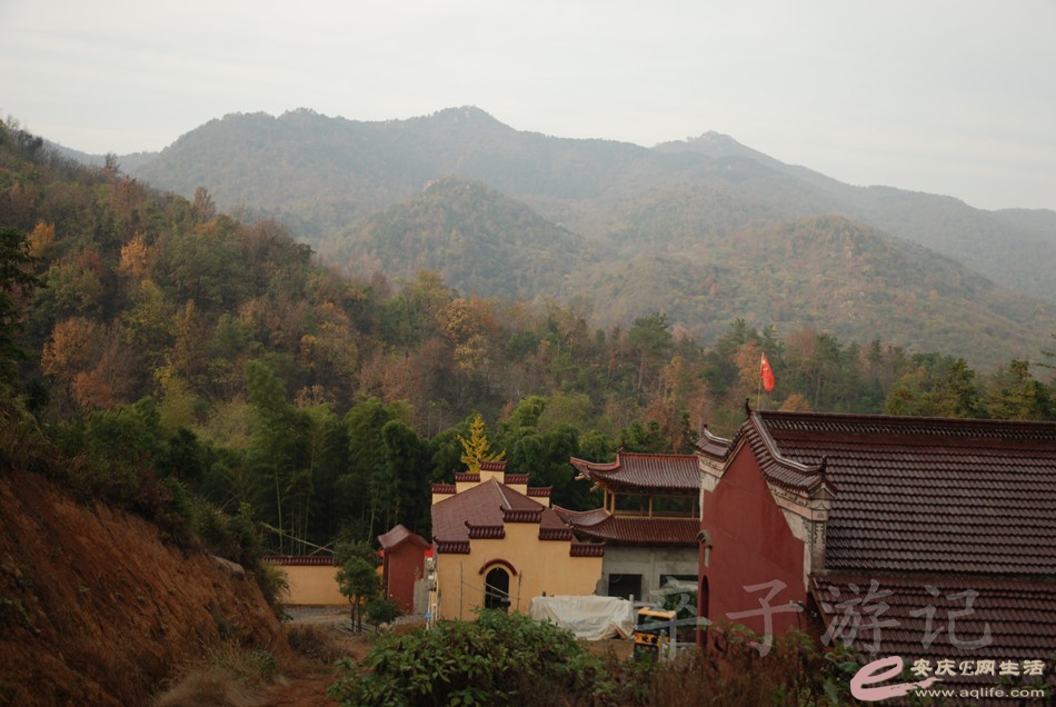 DSC_1236.jpg