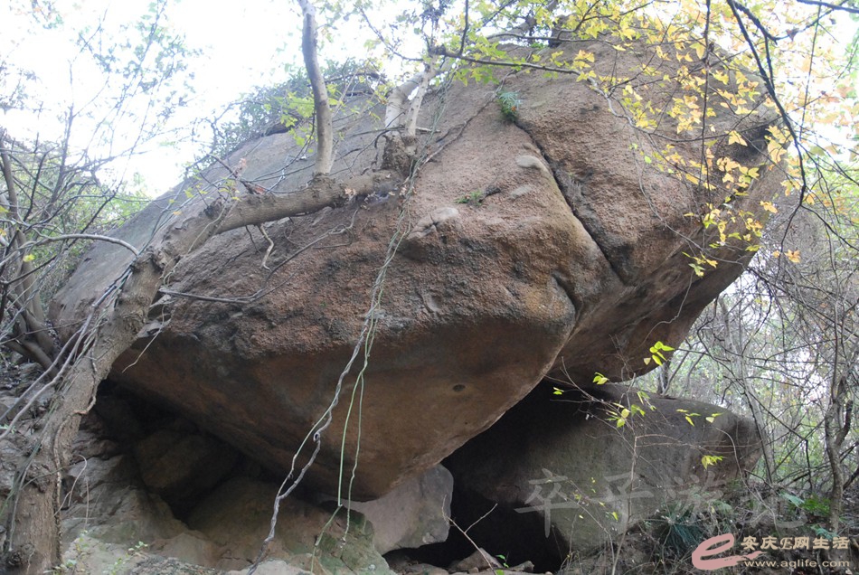 DSC_1269.jpg