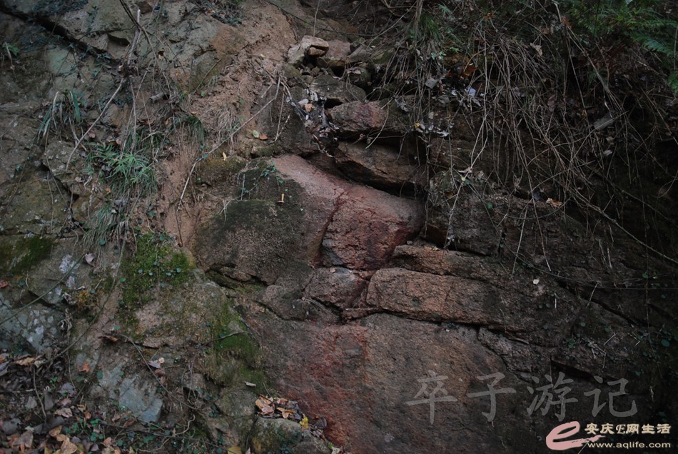 DSC_1290.jpg