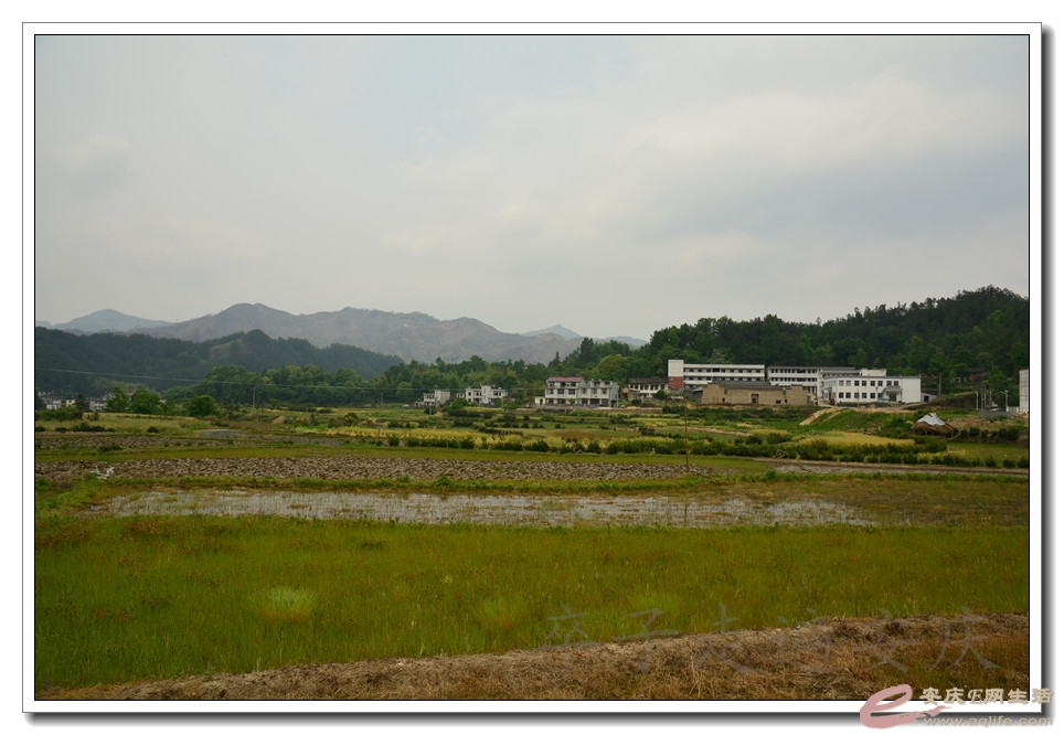 20160501 082.jpg