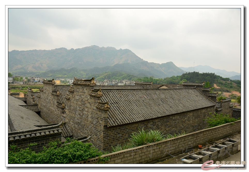 20160501 103.jpg