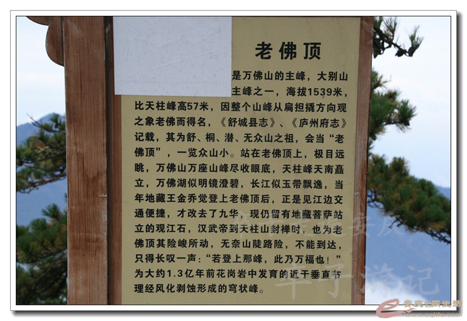 201501001 2431.jpg
