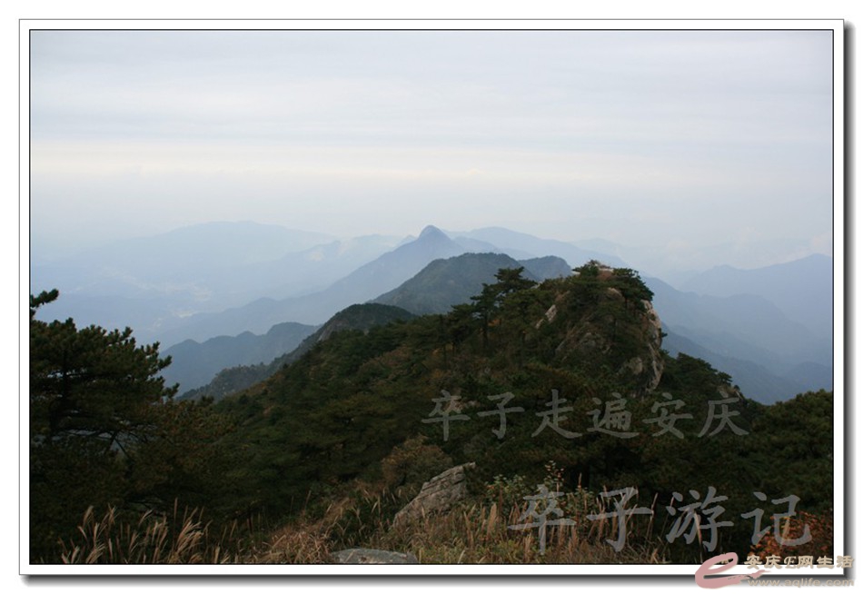 201501001 2460.jpg